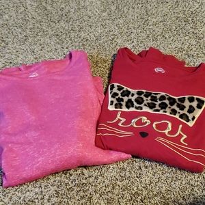 Two long-sleeved girl's tops